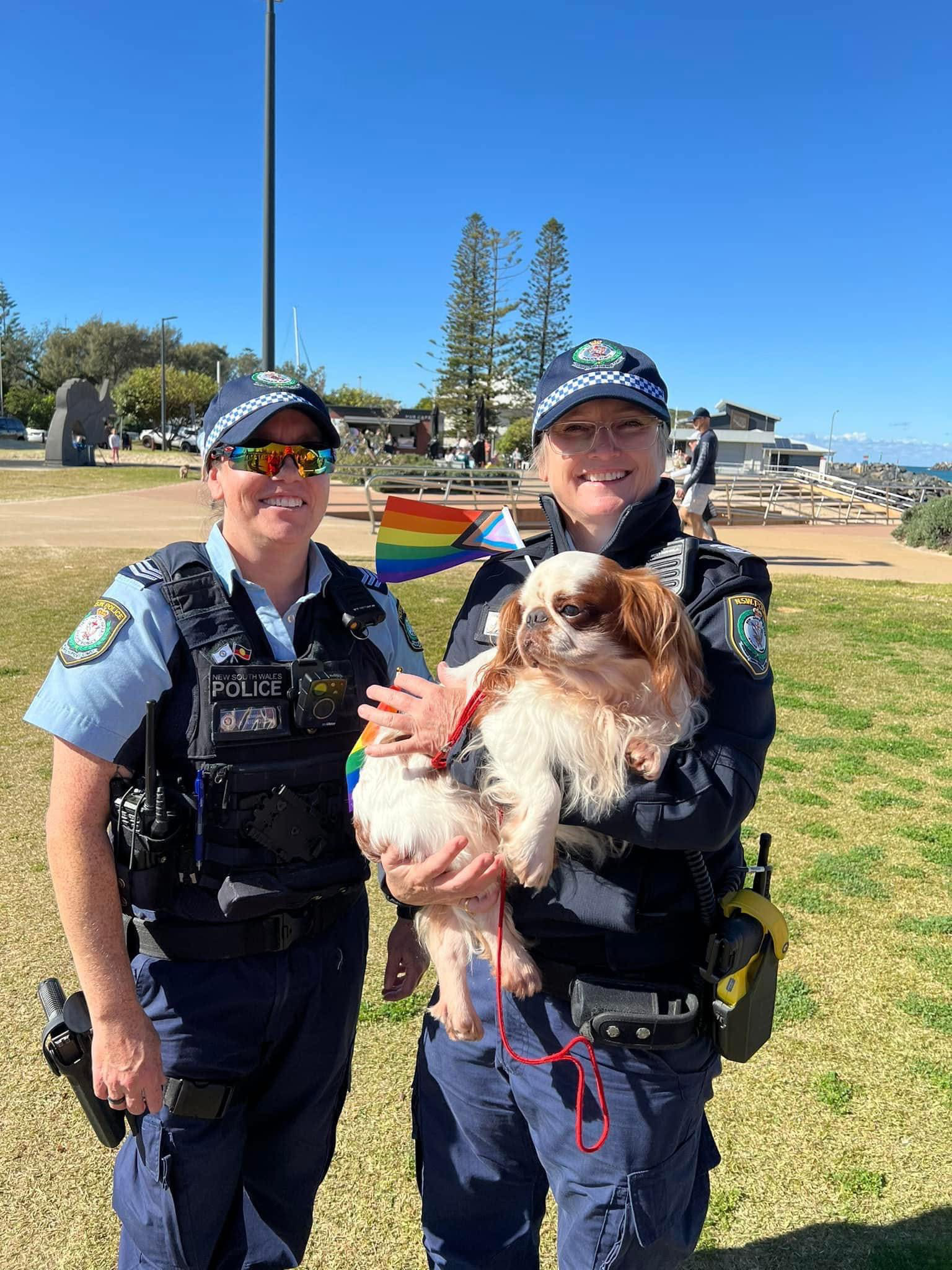 Image 3 from Community Picnics